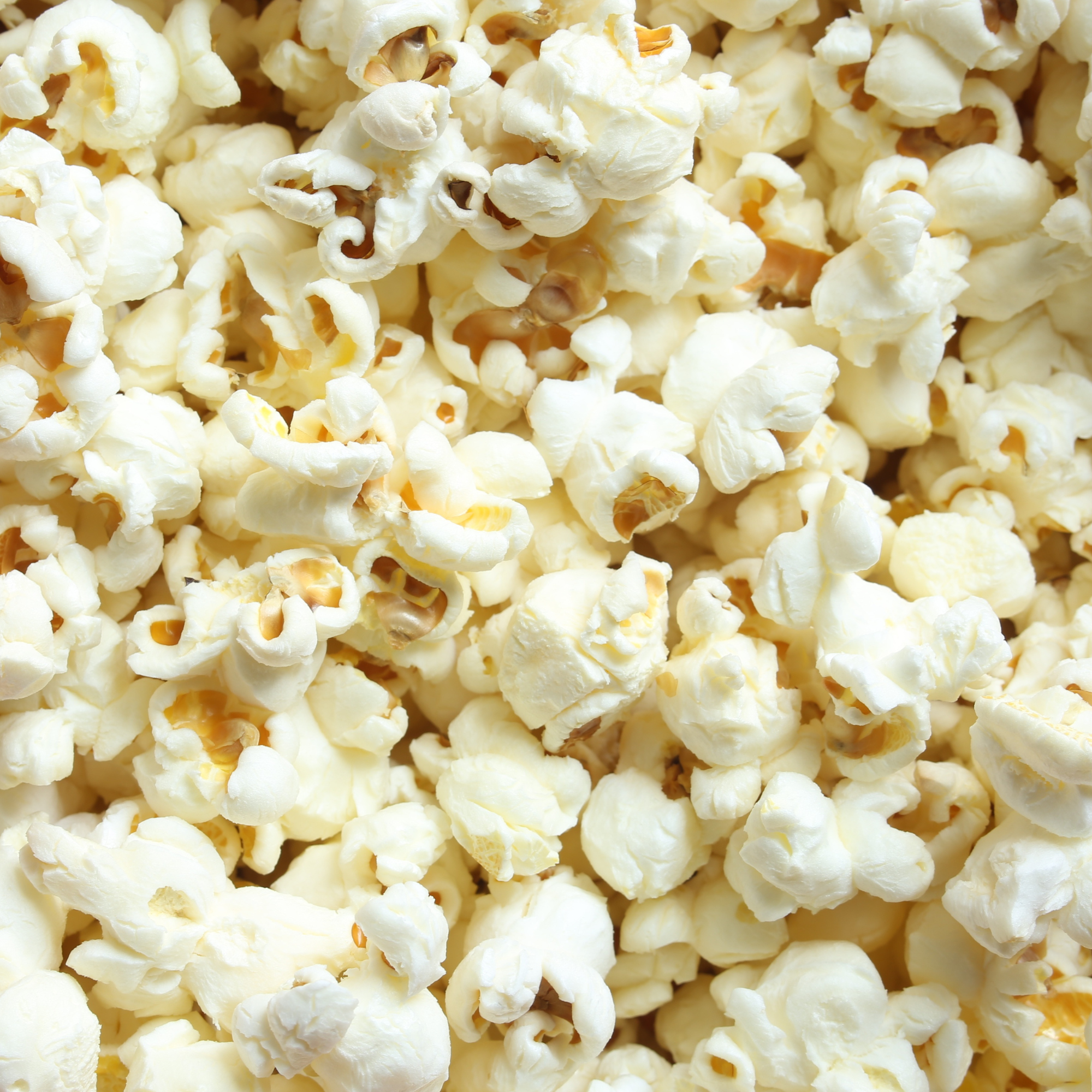 Cinema a la fresca: Súper Empollonas